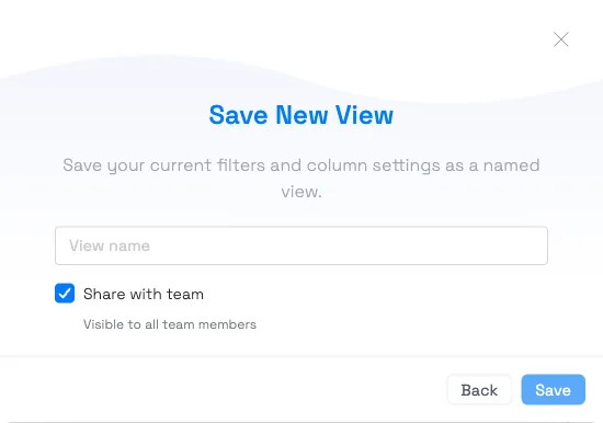 The Save New View dialog with a view name field and a Share with team checkbox, checked by default