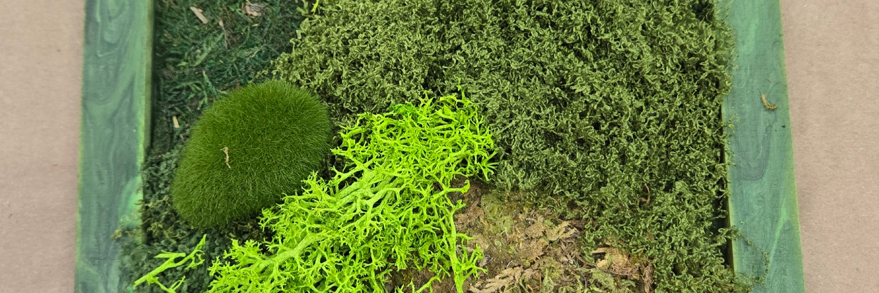 Moss Art Experience at Hangout for Art